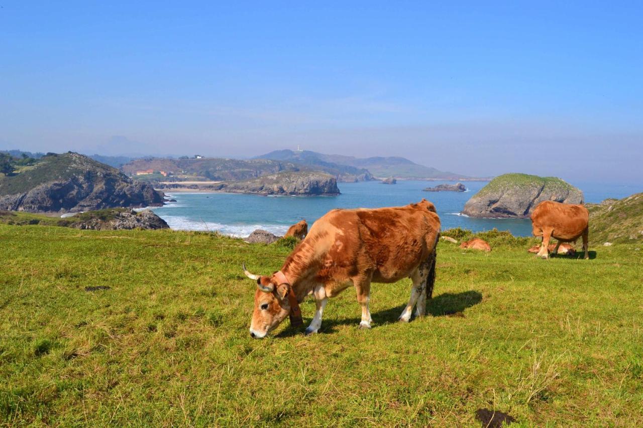 Casa Palo Balcón a Picos de Europa Arriondas Exterior foto